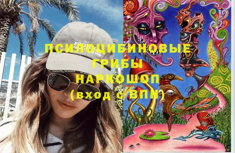 Псилоцибиновые грибы Magic Shrooms  Волгоград 